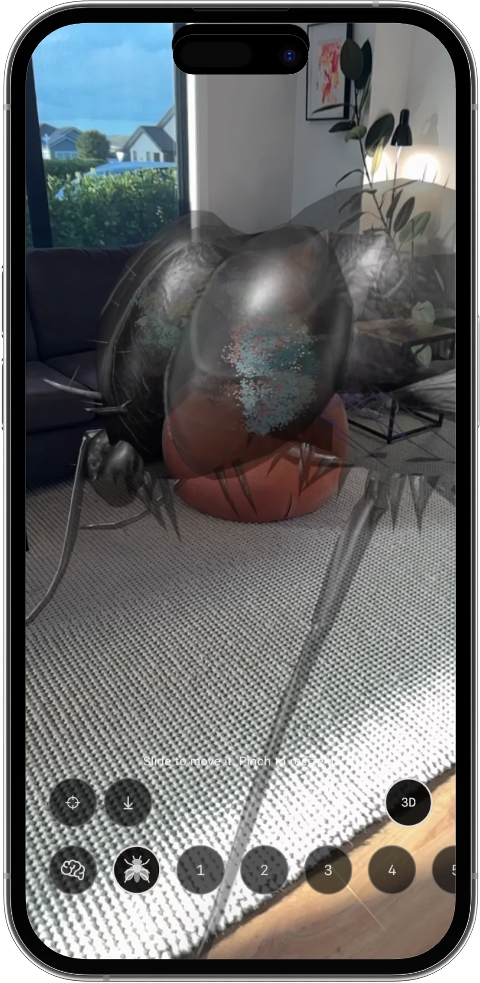 The fly standing on a rug in augmented reality