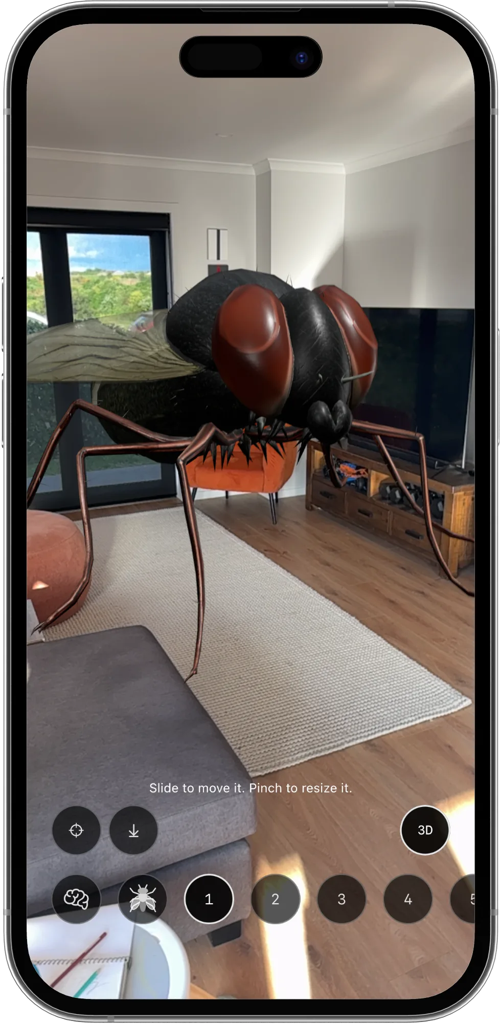 The fly in a living room in AR, at the size of a dog